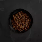 CANAGAN KUTYA DRY 12KG BÁRÁNY