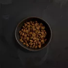 CANAGAN KUTYA DRY PUPPY 2KG CSIRKE