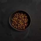 CANAGAN KUTYA DRY PUPPY 6KG CSIRKE