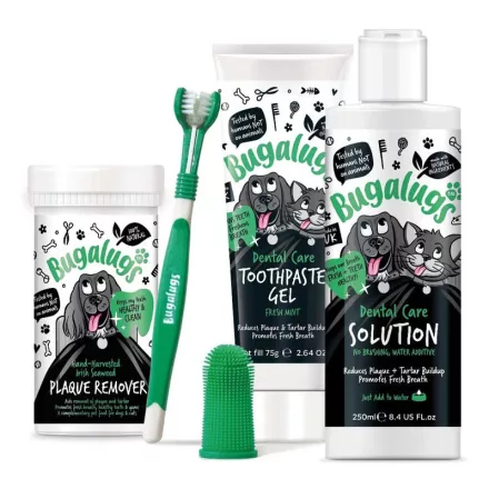 BUGALUGS STARTER DENTAL KIT 