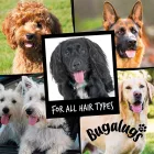 BUGALUGS PET COLOGNE 200ML PAPAYA COCON