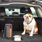 KONG KIBBLE STORAGE BAG 