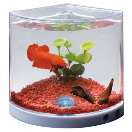 MINI AKVÁRIUM LEDDEL FEDÉLLEL