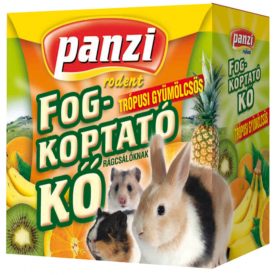 PANZI FOGKOPTATÓ KŐ  55G TRÓPUSI GYÜM