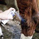 BLUE SPRAY BŐRÁPOLÓ 200ml