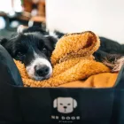 NRDOGS PEREMES KUTYAFEKHELY M SOFT MAGIC OKKER