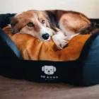 NRDOGS PEREMES KUTYAFEKHELY L SOFT MAGIC OKKER