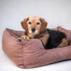 NRDOGS LUX ARTE GIRLS KUTYAFEKHELY M 72X62 CM