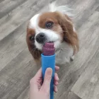 FURRY FREEZE FAGYIPOR KUTYÁKNAK  60G LILA ÉDESBURI