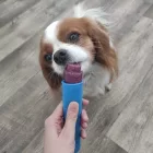 FÜRREE FAGYIPOR KUTYÁKNAK  60G KÉK SPIRULINA