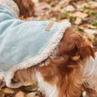 CAVLIFE JÉGKÉK IRHA KUTYA PULCSI L MÉRET