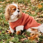 CAVLIFE TÉGLA IRHA KUTYA PULCSI M MÉRET