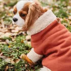 CAVLIFE TÉGLA IRHA KUTYA PULCSI M MÉRET