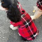 CAVLIFE TARTAN SKÓT KOCKÁS KUTYA  PULCSI S MÉRET