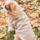 CAVLIFE BARNA IRHA KUTYA PULCSI S MÉRET