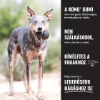 KONG Extreme Goodie Bone M