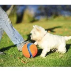 CHUCKIT KICK FETCH  SMALL
