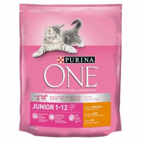 Purina One Cat Junior száraz macskatáp csirke 800g