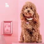 MY FAMILY BŐR NYAKÖRV SAINT TROPEZ 37-45CM FEHÉR