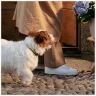 MY FAMILY BIG DAISY NAGY SZÁZSZORSZÉP