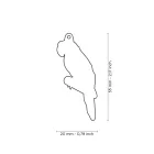 MY FAMILY WILD PAPAGÁJ