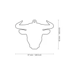 MY FAMILY WILD  BULL