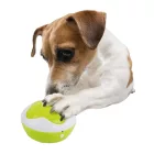 AFP INTERACTIVES - PUPPY INTERPRETER
