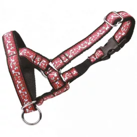 BOTNITA PET EXPERT HÁM M 2X40X55