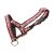 BOTNITA PET EXPERT HÁM XS 2X25X35