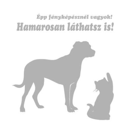 JK LUX GREY FEKHELY  130/85CM XXL MÉRET
