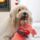 BZ VALENTIN KUTYAJÁTÉK PLÜSS MALAC 45 CM