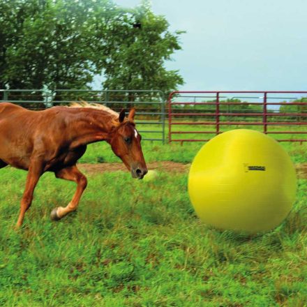MAXIMUS POWER PLAY BALL HORSE  100CM