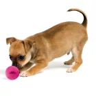 DOG COMETS BALL STARDUST S PINK