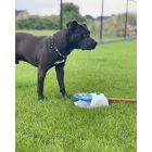 COOLPETS SPLASH SZÖKŐKÚT 