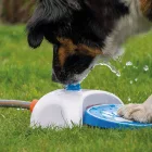 COOLPETS SPLASH SZÖKŐKÚT 