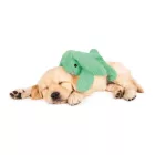 COZY DOG ZÖLD NYUSZI 
