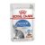 ROYAL CANIN CAT WET INDOOR  85G GRAVY