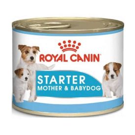Royal Canin Dog Starter Mousse Mother & Babydog 195g