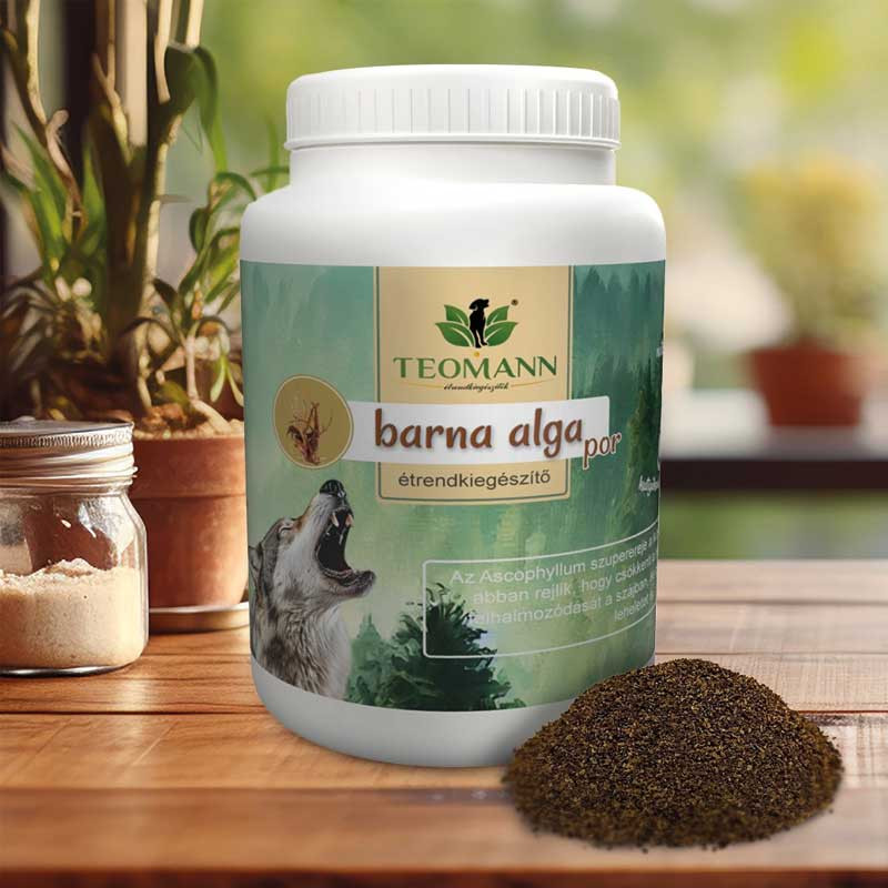 TEOMANN BARNA ALGA 300G